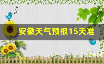 安徽天气预报15天准确一览表格