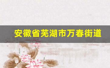 安徽省芜湖市万春街道属于哪个区