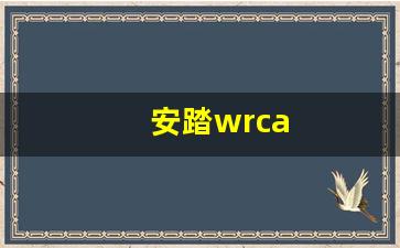 安踏wrca