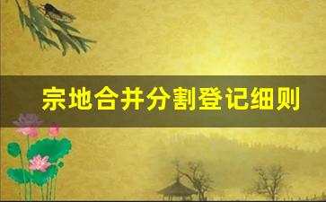 宗地合并分割登记细则