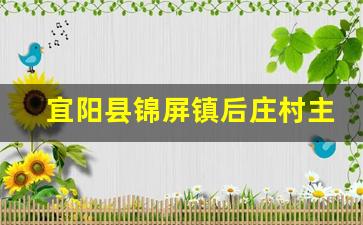 宜阳县锦屏镇后庄村主任是谁_宜阳县锦屏镇西庄拆迁