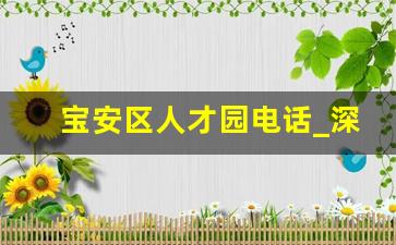 宝安区人才园电话_深圳光明区有人才市场吗