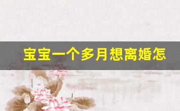 宝宝一个多月想离婚怎么办_宝宝7个月想离婚