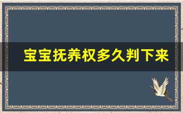 宝宝抚养权多久判下来