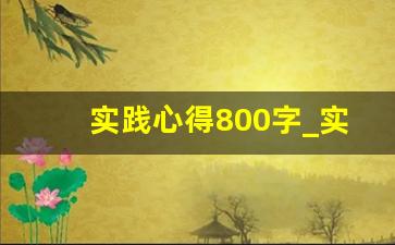 实践心得800字_实践活动报告