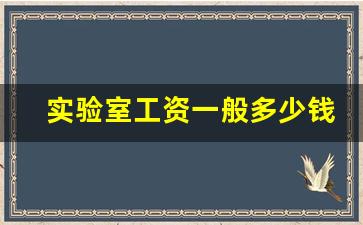 实验室工资一般多少钱_广州国家实验室是事业单位吗