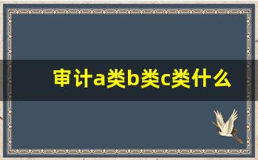 审计a类b类c类什么意思_三类审计的区别和联系