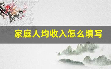 家庭人均收入怎么填写_一般农村家庭人均年收入