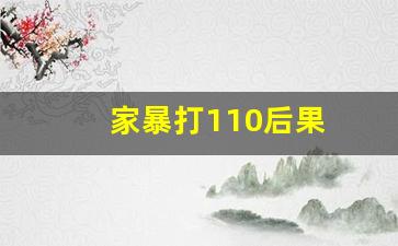 家暴打110后果