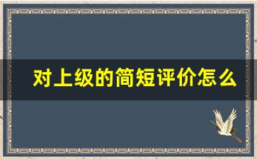 对上级的简短评价怎么写