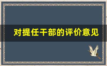 对提任干部的评价意见_干部考察不足及建议