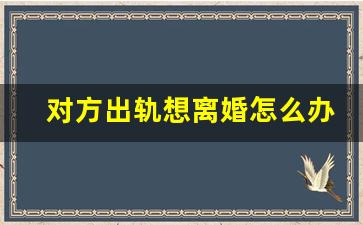 对方出轨想离婚怎么办_外面有人了怎么离婚