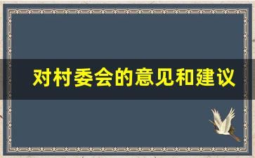 对村委会的意见和建议合集_村委会意见