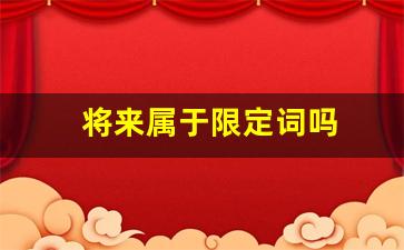 将来属于限定词吗