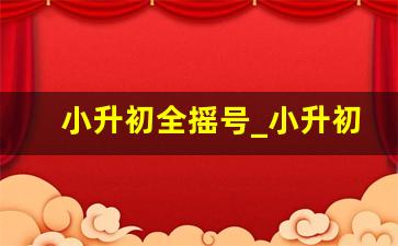 小升初全摇号_小升初全面摇号应对