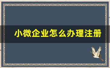 小微企业怎么办理注册_如何申请小微企业