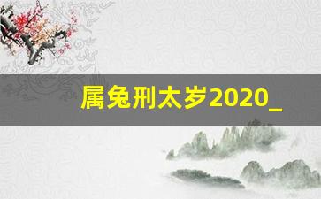 属兔刑太岁2020_属兔刑太岁2020化解物