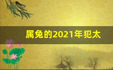 属兔的2021年犯太岁吗_属兔鼠年运势2020年