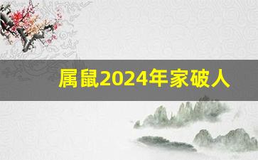 属鼠2024年家破人亡_2024年最旺的属相