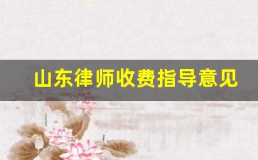 山东律师收费指导意见公示_司法局关于律师收费的规定