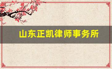 山东正凯律师事务所