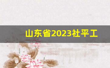 山东省2023社平工资基数_山东省在岗职工平均工资