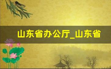 山东省办公厅_山东省政务公开预决算公开