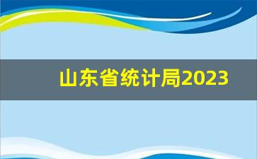 山东省统计局2023年统计公报_2022年山东省人均寿命国家认可