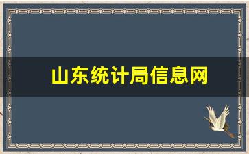 山东统计局信息网