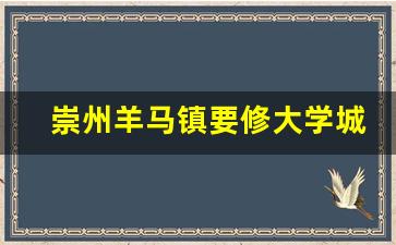 崇州羊马镇要修大学城_2023崇州羊马地铁规划