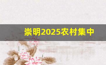 崇明2025农村集中居住规划