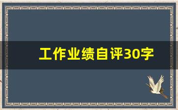 工作业绩自评30字