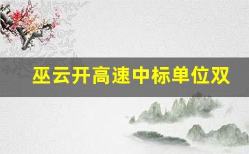 巫云开高速中标单位双龙隧道_巫云开高速七个标段中标公示