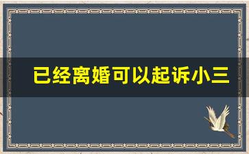 已经离婚可以起诉小三吗