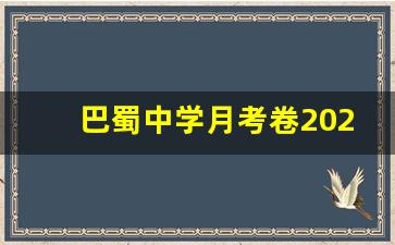 巴蜀中学月考卷2024