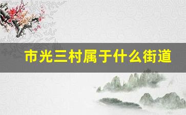 市光三村属于什么街道_航华四村属于什么街道