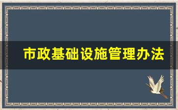 市政基础设施管理办法_市政基础设施工程的定义