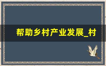 帮助乡村产业发展_村里发展产业