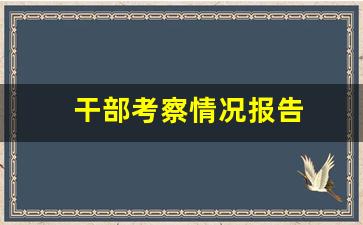 干部考察情况报告