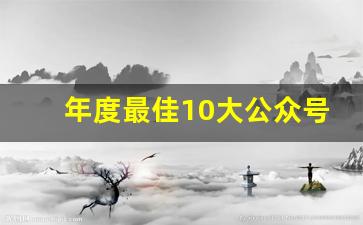 年度最佳10大公众号