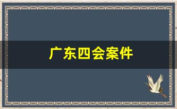 广东四会案件