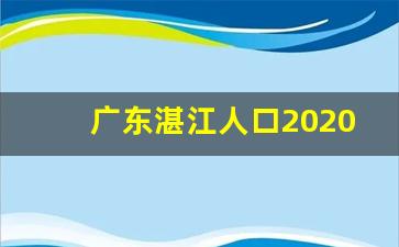 广东湛江人口2020总人数