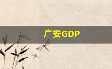 广安GDP