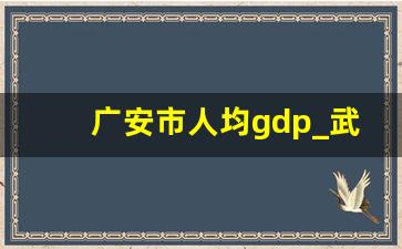 广安市人均gdp_武胜县2022年GDP