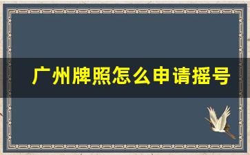 广州牌照怎么申请摇号_外地人广州上牌条件