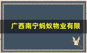 广西南宁蚂蚁物业有限公司