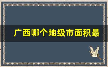 广西哪个地级市面积最大_广西面积最大的市是哪个