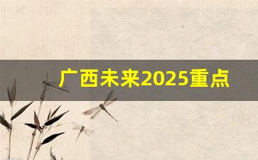 广西未来2025重点发展的城市_广西的经济还有希望吗