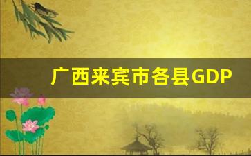 广西来宾市各县GDP_曝光南宁12个区县GDP