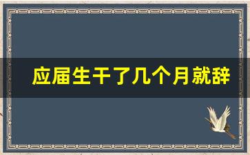 应届生干了几个月就辞职